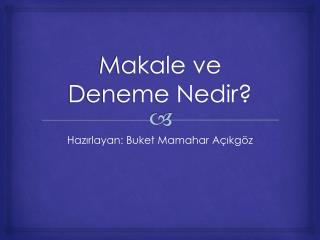 Makale ve Deneme Nedir?