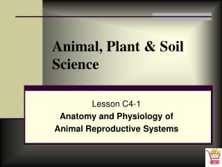 Animal, Plant &amp; Soil Science