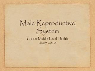 Male Reproductive System