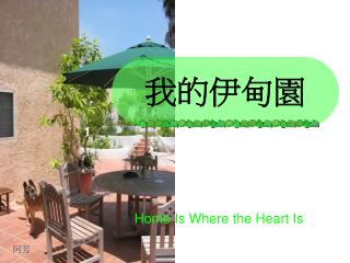 我的伊甸園