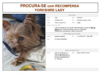 PROCURA-SE com RECOMPENSA YORKSHIRE LADY