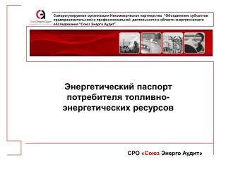 Энергетический паспорт потребителя топливно-энергетических ресурсов