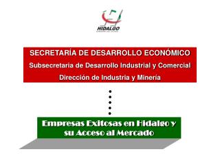 Empresas Exitosas en Hidalgo y su Acceso al Mercado