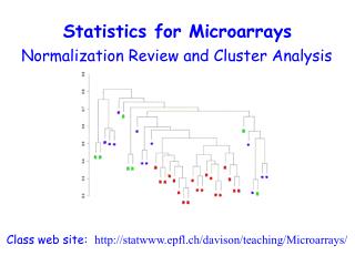 Statistics for Microarrays