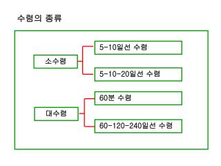 수렴의 종류