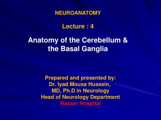 NEUROANATOMY Lecture : 4 Anatomy of the Cerebellum &amp; the Basal Ganglia