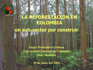LA REFORESTACIÓN EN COLOMBIA