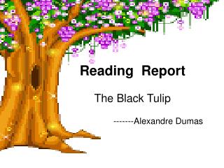 Reading Report