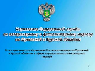 Итоги деятельности Управления в 2012 году.
