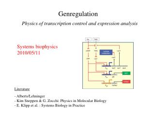 Genregulation
