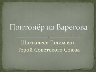 Понтонёр из Варегова