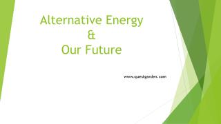 Alternative Energy &amp; Our Future