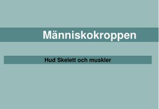 Människokroppen