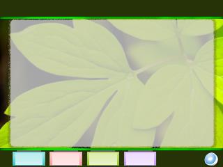 1fe36fc6-e5f9-4622-8292-c4c89a067209