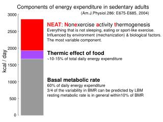 Components of energy expenditure in sedentary adults