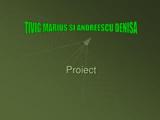 Proiect