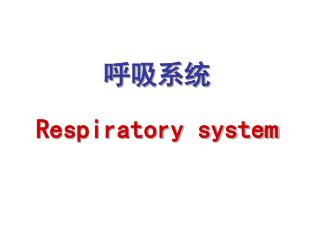 呼吸系统 Respiratory system
