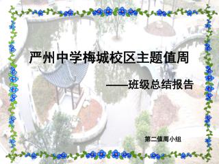 严州中学梅城校区主题值周 —— 班级总结报告 第二值周小组