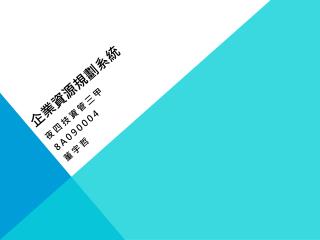 企業資源規劃系統