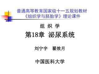 普通高等教育国家级十一五规划教材 《 组织学与胚胎学 》 理论课件