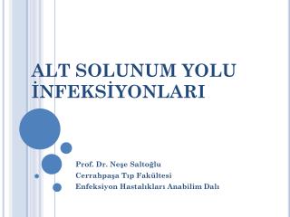 ALT SOLUNUM YOLU İNFEKSİYONLARI