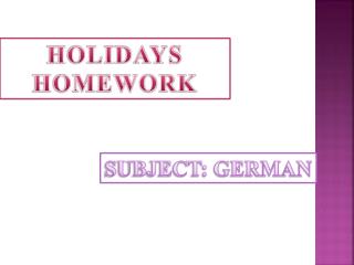 HOLIDAYS HOMEWORK