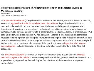Role of Extracellular Matrix in Adaptation of Tendon and Skeletal Muscle to Mechanical Loading