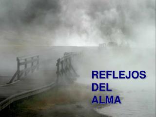 REFLEJOS DEL ALMA