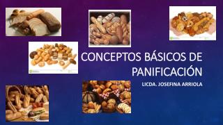 Conceptos básicos de panificación