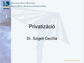 Privatizáció