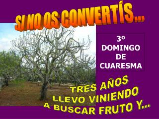 3º DOMINGO DE CUARESMA