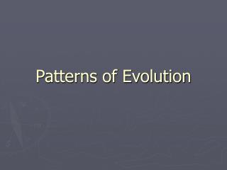 Patterns of Evolution