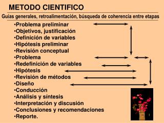 Guías generales, retroalimentación, búsqueda de coherencia entre etapas