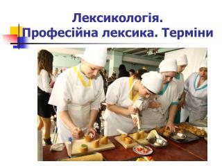 Лексикологія. Професійна лексика. Терміни