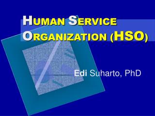 H UMAN S ERVICE O RGANIZATION ( HSO )