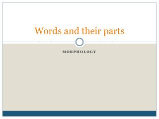 Words and their parts