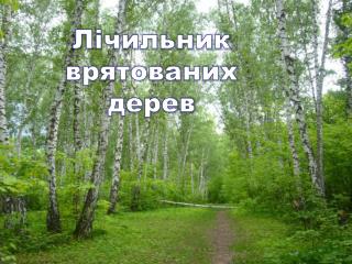 Лічильник врятованих дерев