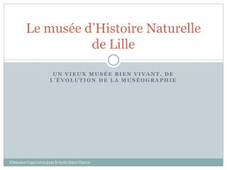 Le musée d’Histoire Naturelle de Lille