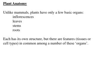 Plant Anatomy Unlike mammals, plants have only a few basic organs: 	inflorescences 	leaves 	stems 	roots