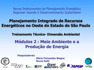 Novos Instrumentos de Planejamento Energético Regional visando o Desenvolvimento Sustentável