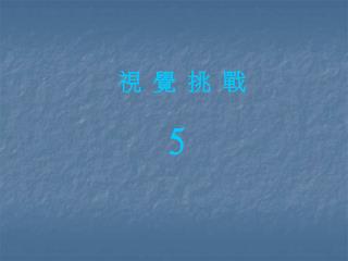 視 覺 挑 戰