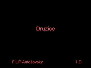 Družice