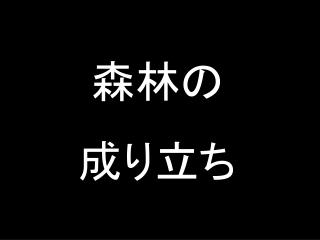 森林の 成り立ち