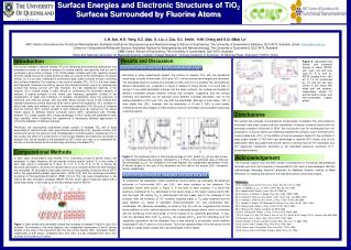 Surface Energies and Electronic Structures of TiO 2 Surfaces Surrounded by Fluorine Atoms