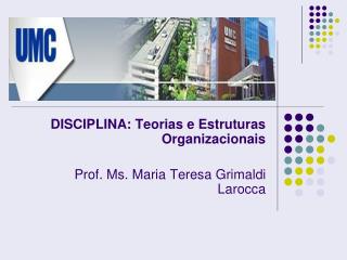 DISCIPLINA: Teorias e Estruturas Organizacionais Prof. Ms. Maria Teresa Grimaldi Larocca