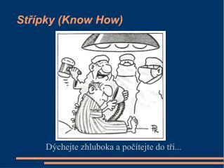 Střípky (Know How)