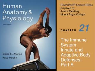 The Immune System: Innate and Adaptive:Body Defenses: Part A