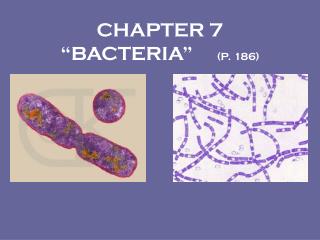 CHAPTER 7 “BACTERIA” (P. 186)