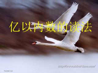 亿以内数的读法