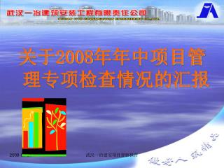 关于 2008 年年中项目管理专项检查情况的汇报